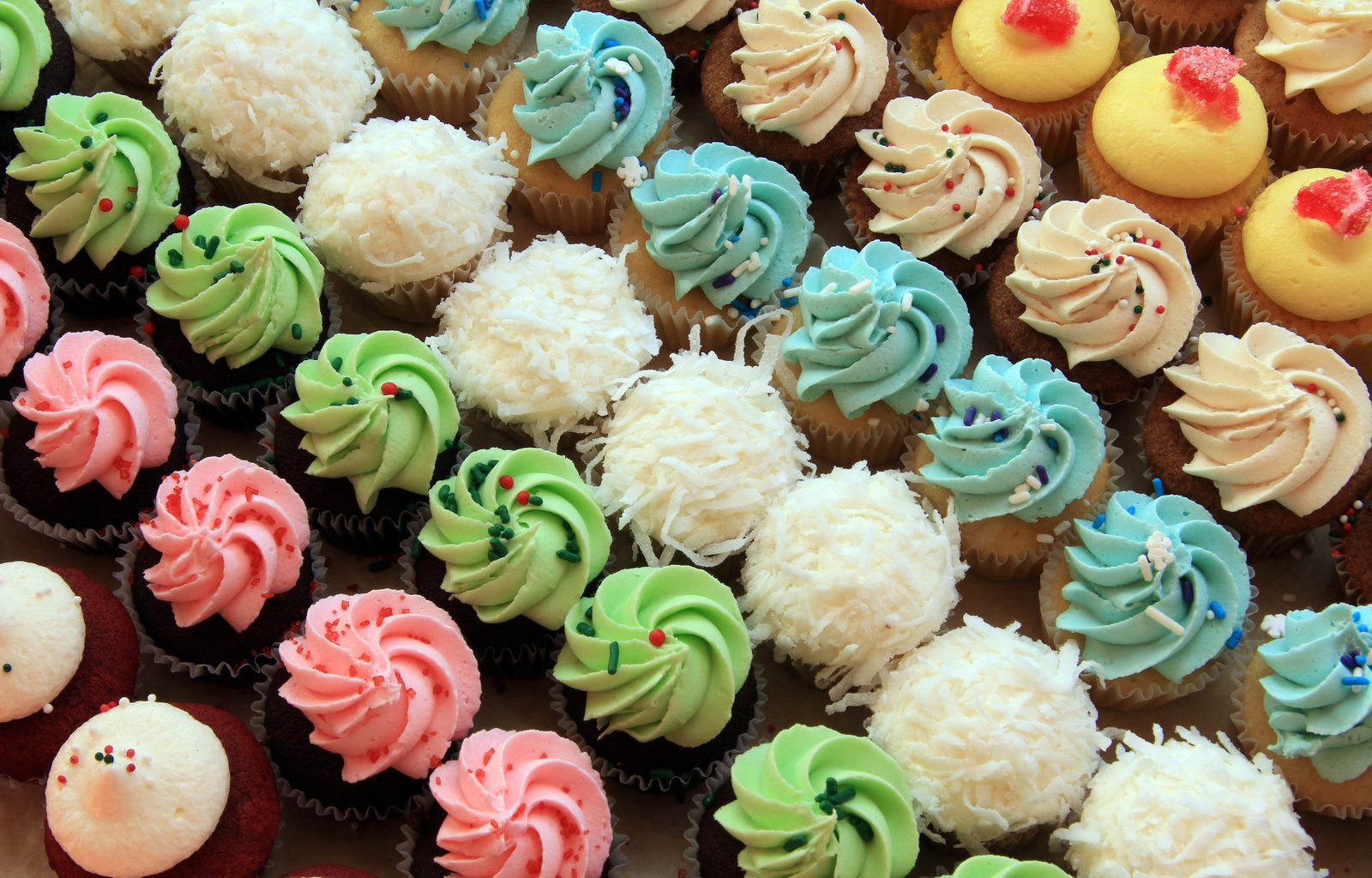 An assortment of colorful Salted Cupcake cupcakes